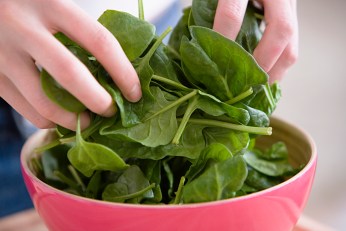 Salmonella Scare: Spinach Recalled