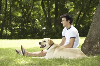 Every Dog Has its Day