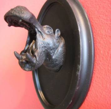 Hippo Placks
