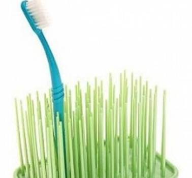 Grassy Green Toothbrush Holder