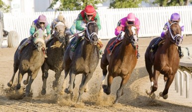Q&A: Why Illinois Racetracks Need Slots