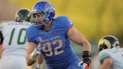 Seven Facts About the Six New Bears