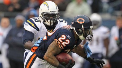 Bear Bites: All About Forte