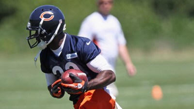 Bear Bites: Who Is the Most Overrated Bear?