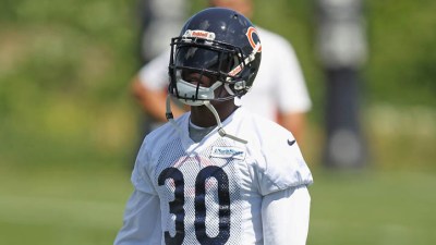 Bears Bring Creature Comforts to Camp