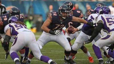 Bear Bites: Protecting Cutler