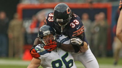 Bear Bites: No Pity for Banged-Up Bears