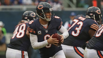 41% of Illinoisans Approve of Cutler