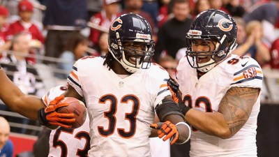Bear Bites: Back to Their Old Selves