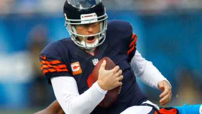 Bears Need a Nickname