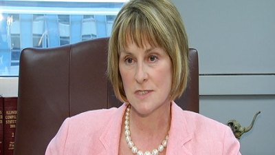 Pension Reform Unlikely Soon: Radogno