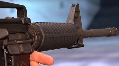 Illinois Lawmakers, Lobbyists Debate Assault Rifles 