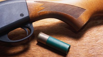 Opinion: Group Wants To Give Shotguns to Single Moms
