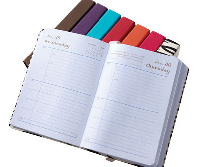Mom Agenda Mini