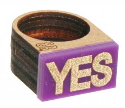 Steven Shein Ring