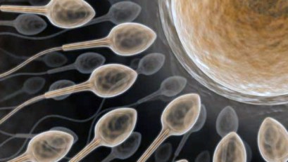Couple Claims Sperm Bank Slipped Up