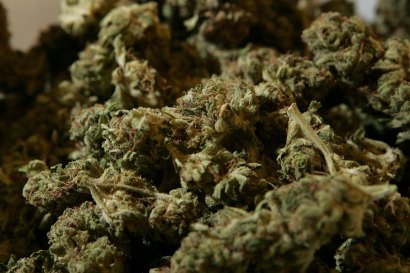 Marijuana