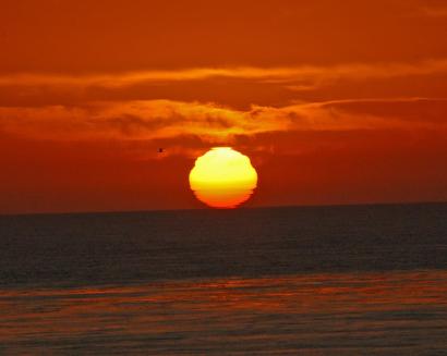 Searing  Sun