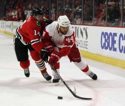 Madhouse Season Review: Chris Campoli