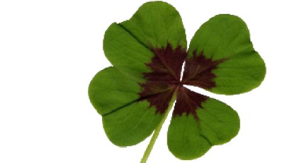 No Luck O' the Irish at O'Hare