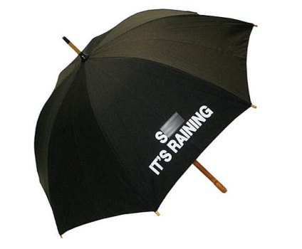 Blame It On The Rain !