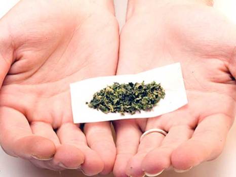 Rahm's Pot Plan Nets $98K In Fines