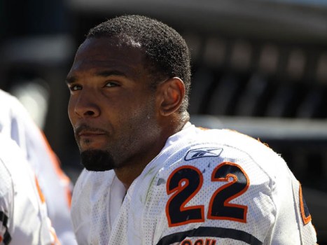 Bear Bites: Forte's Uphill Climb
