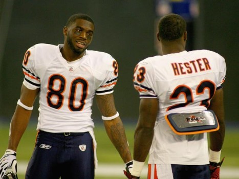 Bears Spend Father's Day Just Like You