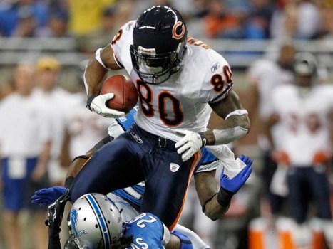 Grizzly Bears and Teddy Bears: Bears vs. Lions