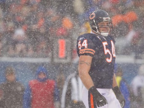 Bear Bites: Urlacher and Daffy Duck