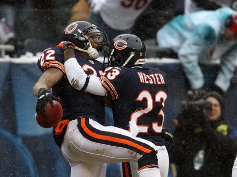 Grizzly Bears and Teddy Bears: New York vs. Chicago