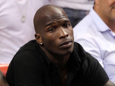 Could Ochocinco Be a Bear?