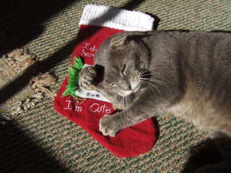 How to Concoct a Memorable Autorespond Message for the Holidays