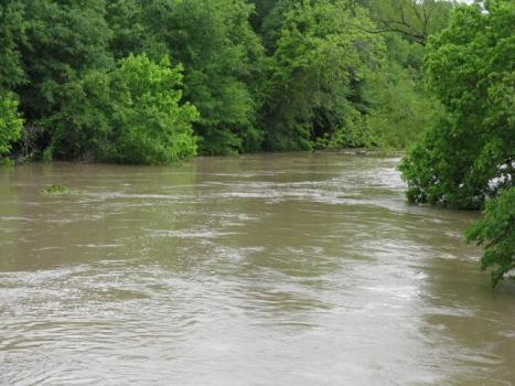 Woman's Body Pulled From DesPlaines RIver