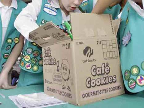 $600 In Girl Scout Cookies Stolen