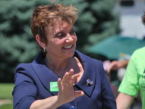 Opinion: NRA Has A Lot Riding On 2nd District Election