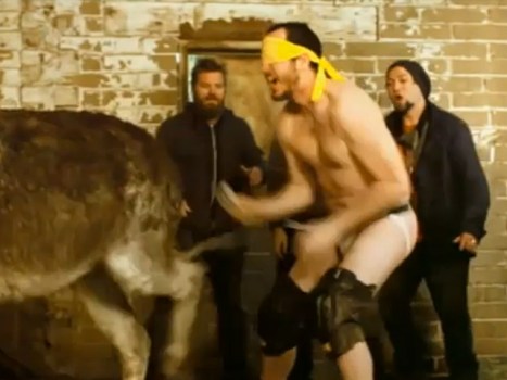 Watch a Grown Man Get Kicked in the Cubes by a Donkey in the "Jackass 3.5" Trailer