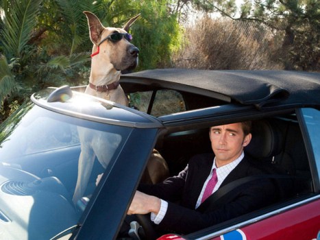 "Marmaduke" Among 248 Films Eligible for Best Picture Oscar