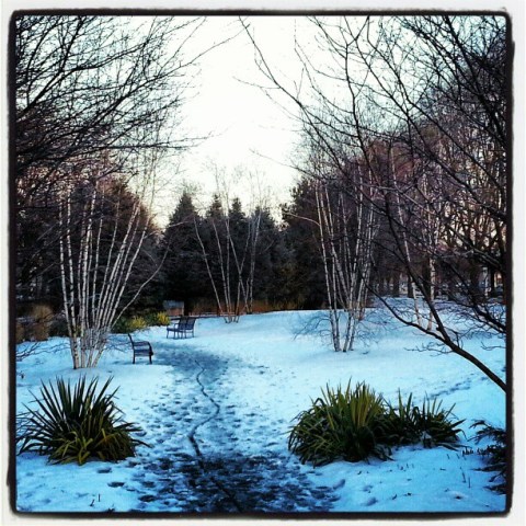 Your February Snow Photos