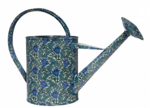 Anemone Print  Watering Can