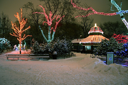 Lincoln Park Zoo Lights Up the Holidays
