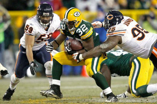 Bears vs. Packers: Grizzly Bears and Teddy Bears