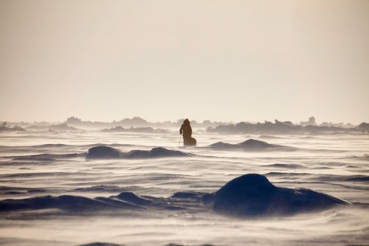 Tribeca Review: "Into the Cold"