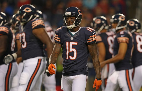 Bear Bites: Brimming with Optimism