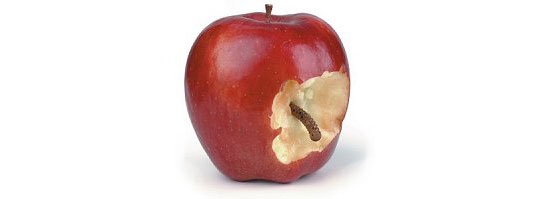 Inspector General Fails CPS in Ethics