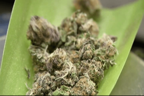 http://media.nbcbayarea.com/images/marijuanaonscale.png