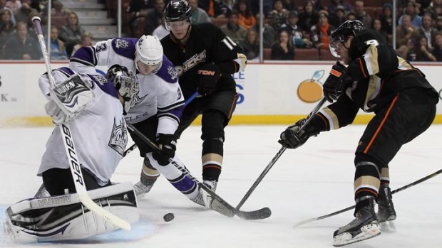 Our Fine Feathered Friends: Ducks at Hawks Preview