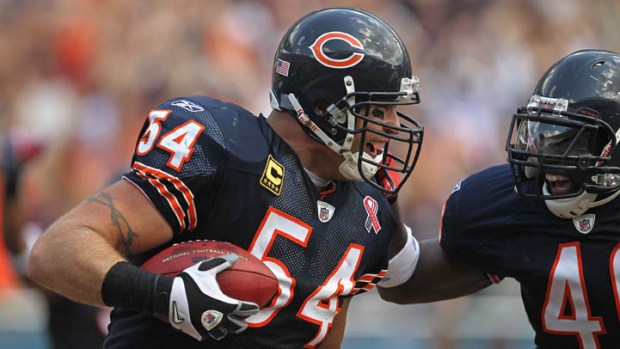 Bear Bites: Big Win Edition
