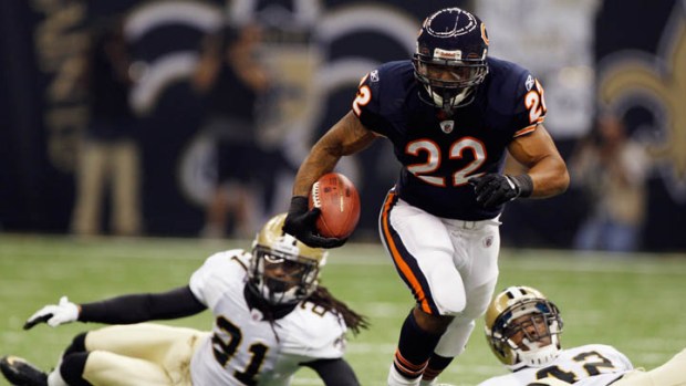 Grizzly Bears and Teddy Bears