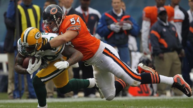 Grizzly Bears and Teddy Bears from the Packer's Domination